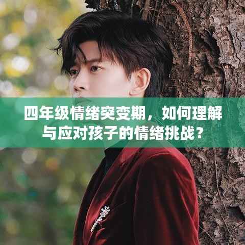 四年级情绪突变期,如何理解与应对孩子的情绪挑战?