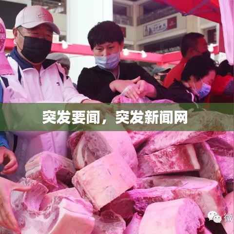 突发要闻,突发新闻网