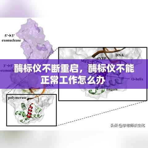酶标仪不断重启,酶标仪不能正常工作怎么办