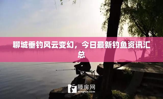 聊城垂钓风云变幻,今日最新钓鱼资讯汇总