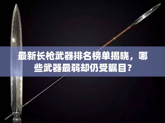 最新长枪武器排名榜单揭晓,哪些武器最弱却仍受瞩目?