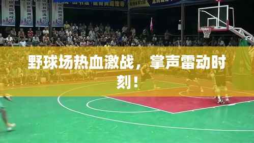 野球场热血激战,掌声雷动时刻!