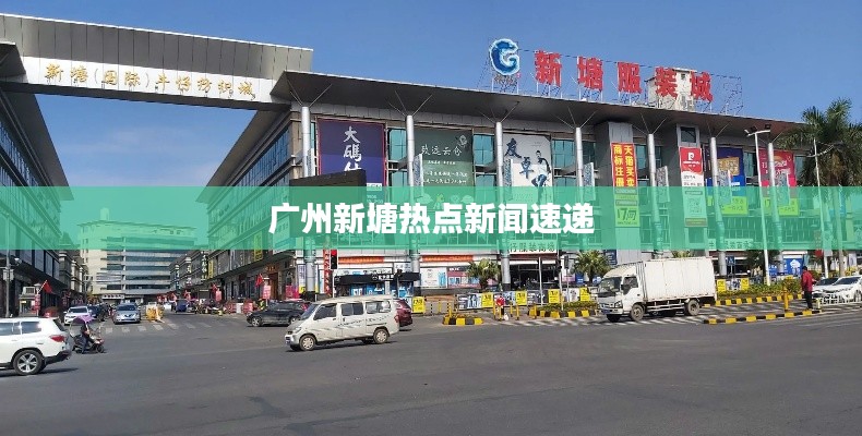 广州新塘热点新闻速递