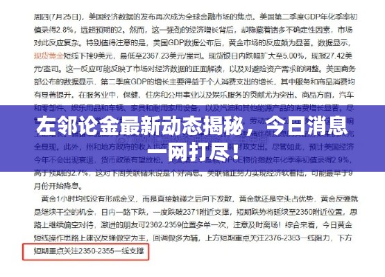 左邻论金最新动态揭秘,今日消息一网打尽!