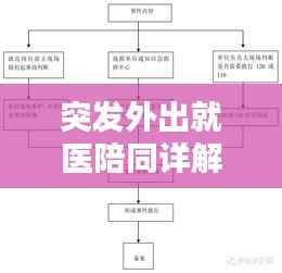 突发外出就医陪同详解,一站式流程指南