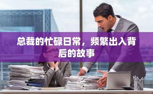 总裁的忙碌日常,频繁出入背后的故事