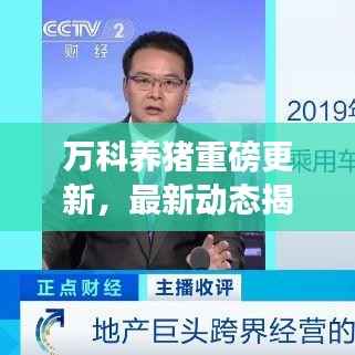 万科养猪重磅更新,最新动态揭秘