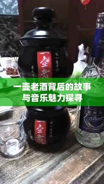 一壶老酒背后的故事与音乐魅力探寻
