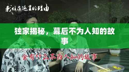 独家揭秘,幕后不为人知的故事