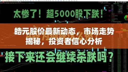 皓元股价最新动态,市场走势揭秘,投资者信心分析