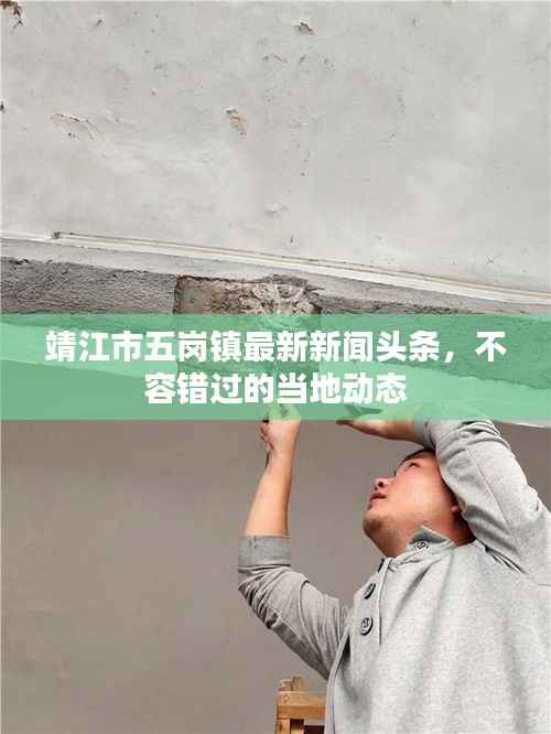 靖江市五岗镇最新新闻头条,不容错过的当地动态