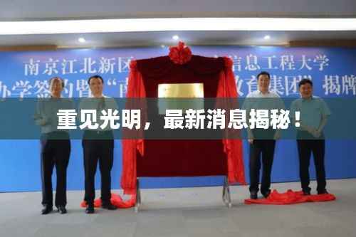 重见光明,最新消息揭秘!