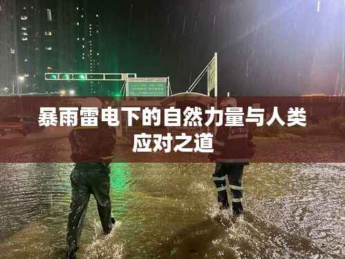暴雨雷电下的自然力量与人类应对之道
