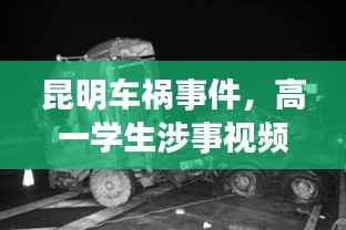 昆明车祸事件,高一学生涉事视频最新进展报道