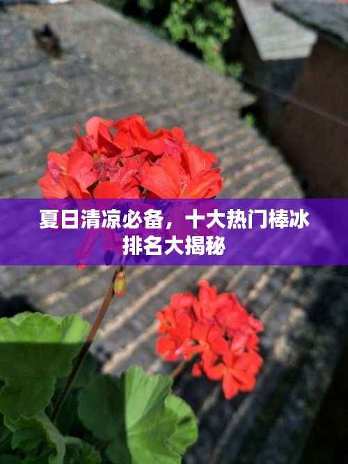 夏日清凉必备,十大热门棒冰排名大揭秘