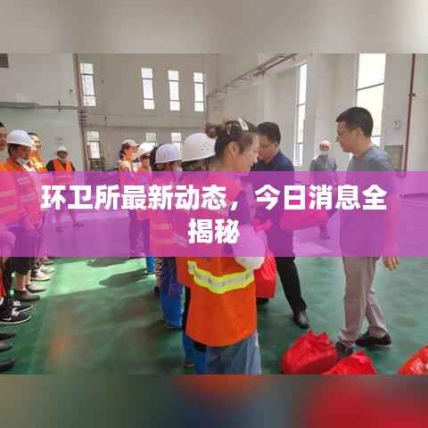 环卫所最新动态,今日消息全揭秘
