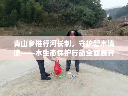 青山乡推行河长制，守护碧水清流——水生态保护行动全面展开