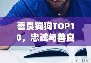善良狗狗TOP10,忠诚与善良完美诠释的感动瞬间!