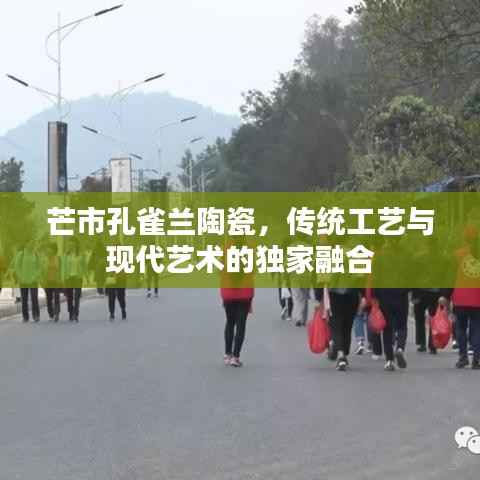 芒市孔雀兰陶瓷,传统工艺与现代艺术的独家融合