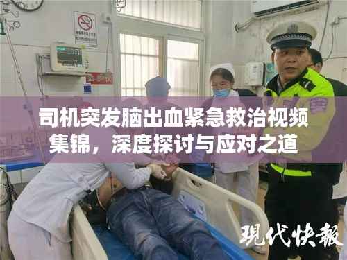 司机突发脑出血紧急救治视频集锦,深度探讨与应对之道