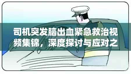 司机突发脑出血紧急救治视频集锦,深度探讨与应对之道