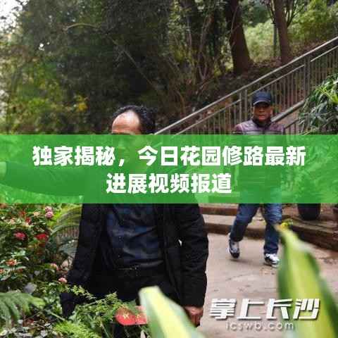 独家揭秘,今日花园修路最新进展视频报道