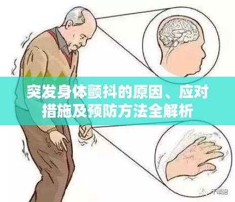 突发身体颤抖的原因、应对措施及预防方法全解析