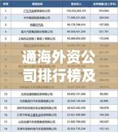 通海外资公司排行榜及影响力深度解析
