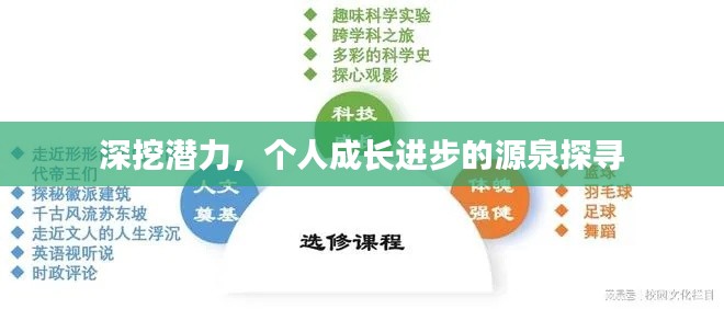 深挖潜力,个人成长进步的源泉探寻
