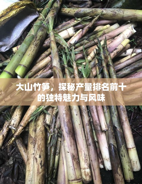 大山竹笋,探秘产量排名前十的独特魅力与风味