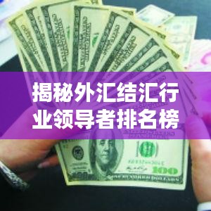 揭秘外汇结汇行业领导者排名榜单！