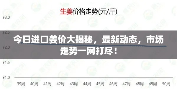 今日进口姜价大揭秘,最新动态,市场走势一网打尽!