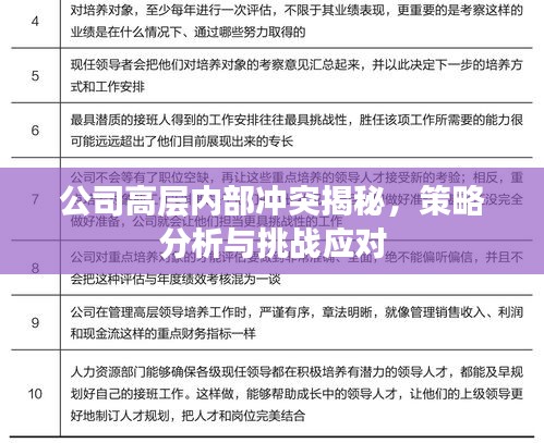公司高层内部冲突揭秘,策略分析与挑战应对