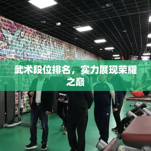 武术段位排名，实力展现荣耀之巅
