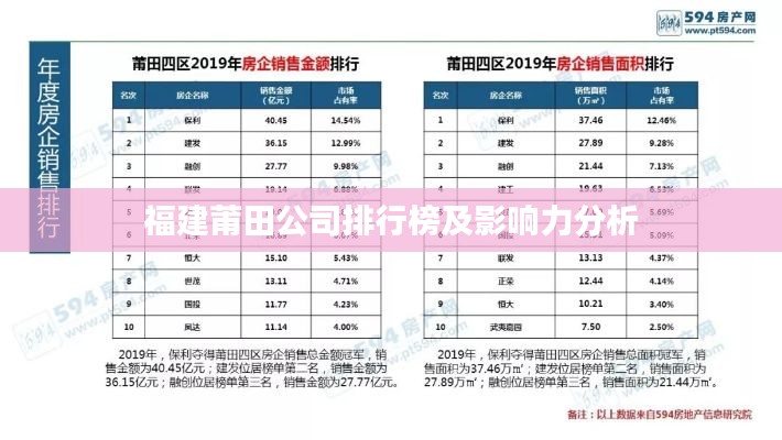 福建莆田公司排行榜及影响力分析