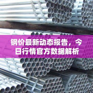 钢价最新动态报告,今日行情官方数据解析