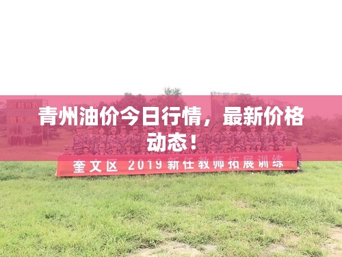 青州油价今日行情,最新价格动态!