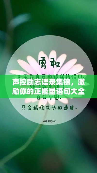 声控励志语录集锦,激励你的正能量语句大全